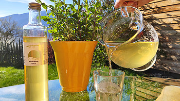 Peppermint cordial
