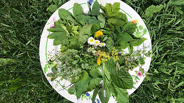 Wildkräutersalat