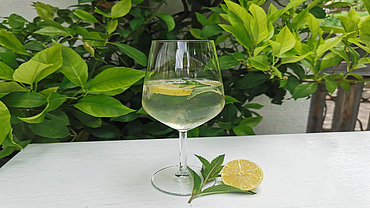 Cider Hugo