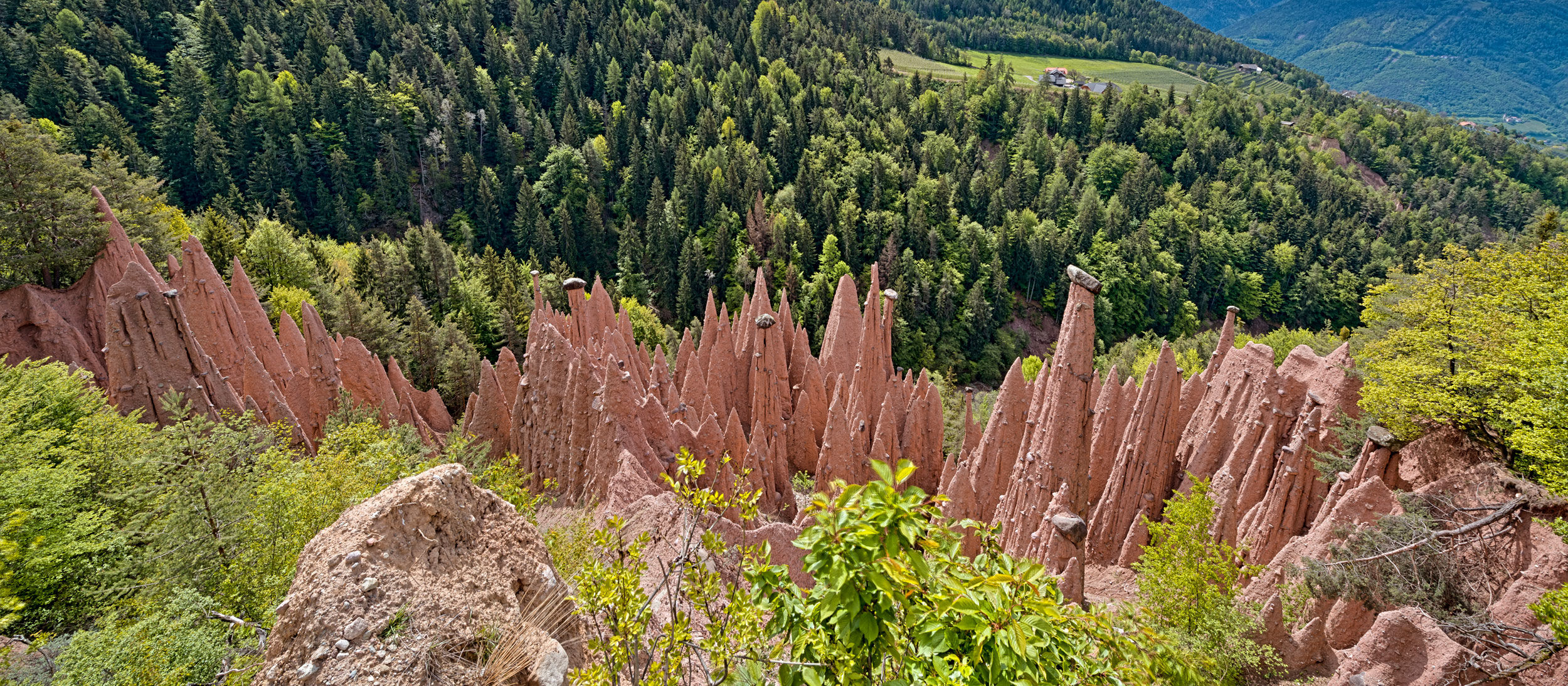 Am Ritten Erdpyramiden am Ritten - Südtirol