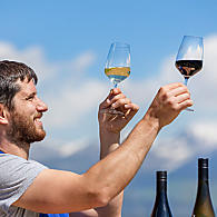 Südtirols Weine zählen zu den besten Italiens 