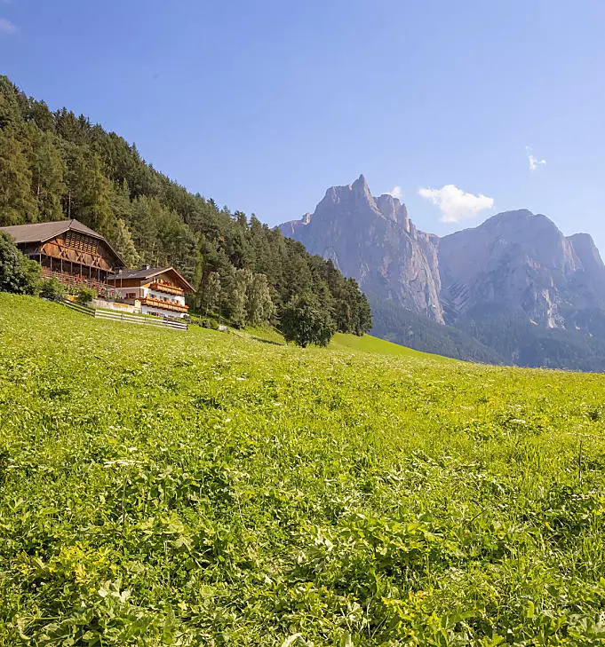 Summer holidays on the farm in South Tyrol