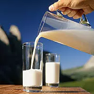 Dairy farming in South Tyrol (© Mila)