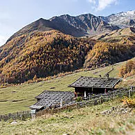 South Tyrol's Alpine pastures (© Alex Filz)