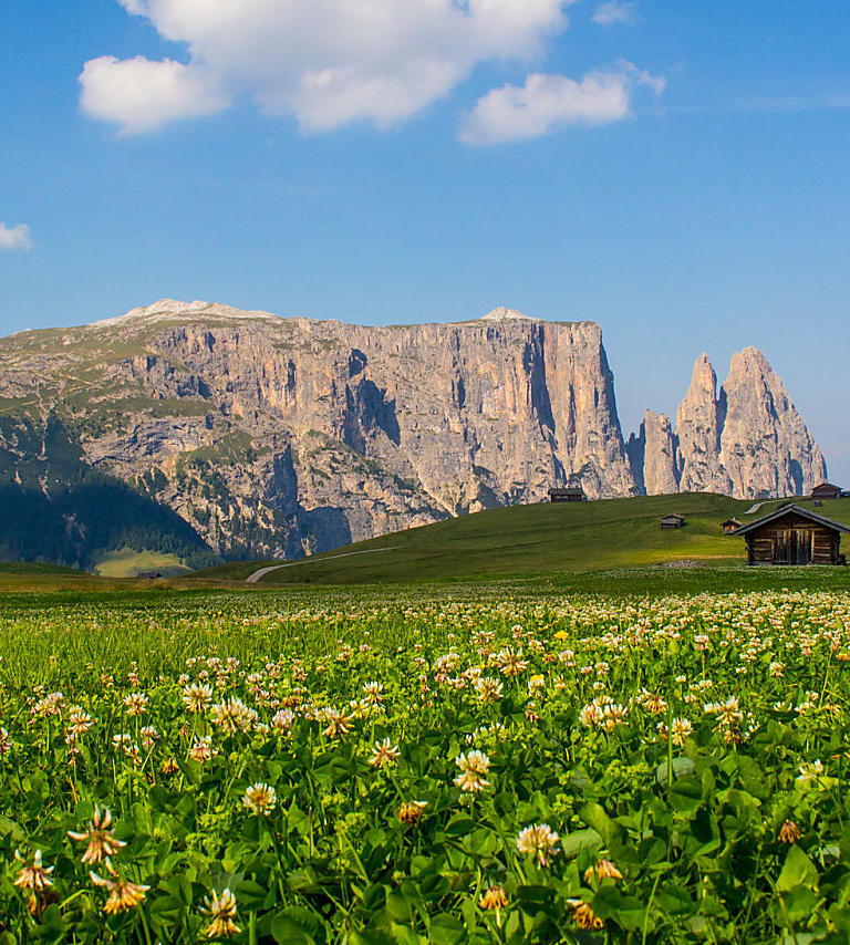 Seiser Alm In Den Dolomiten S dtirol Seiser Alm In Den Dolomiten S dtirol