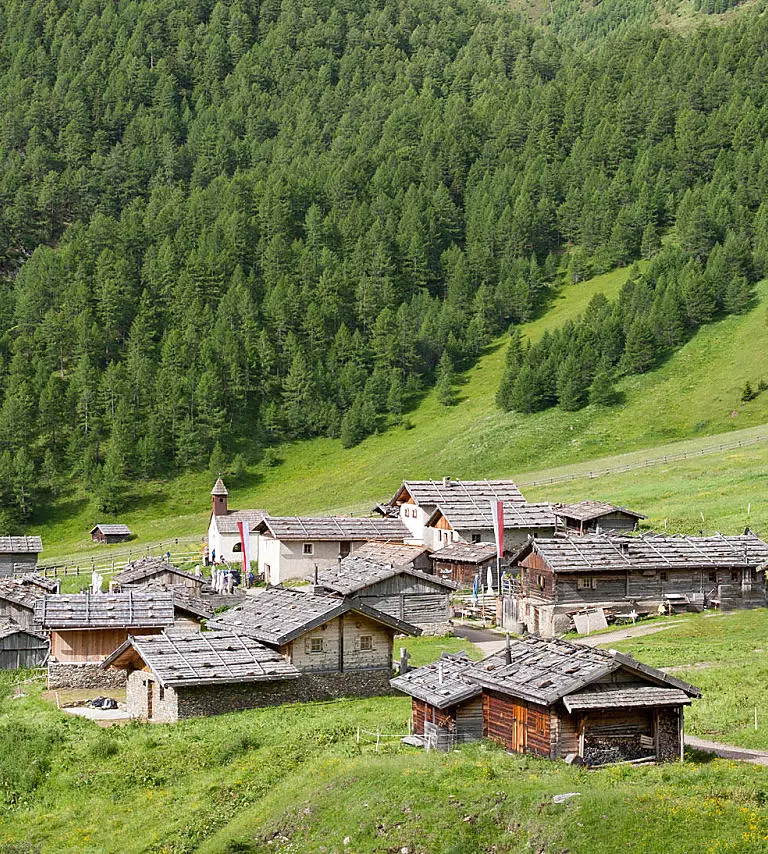 Fanealm: An Alpine village in the mountains
