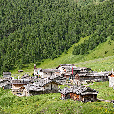 Fanealm: An Alpine village in the mountains