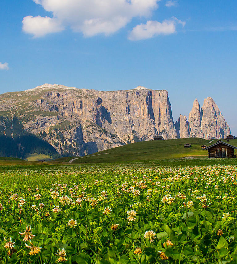 Seiser Alm: Europe’s biggest Alpine meadow
