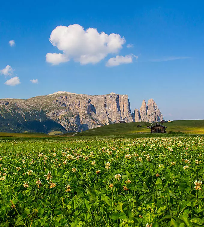 Seiser Alm: Europe’s biggest Alpine meadow
