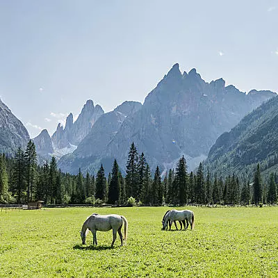 Fischleintal valley: a gem in the Sexten Dolomites