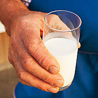 Die frische Milch (© IDM/Frieder Blickle)