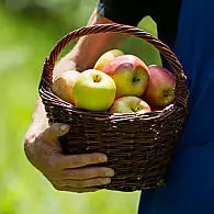Südtirols Apfelanbaugebiet