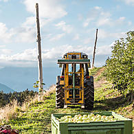 Das Apfelanbaugebiet Südtirol (© Leitnerhof Vöran)