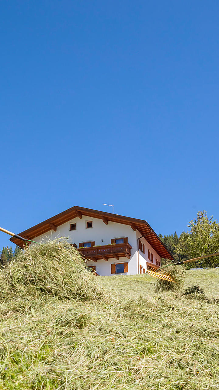 Heuernte am Bauernhof in Südtirol