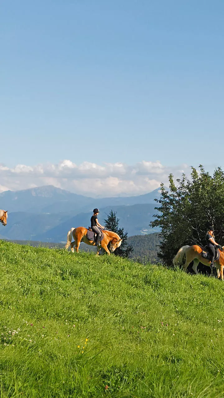 Riding holidays in South Tyrol: horse whispers on the farm