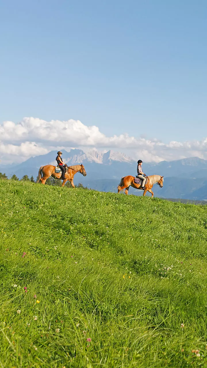 Riding holidays in South Tyrol: horse whispers on the farm