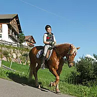 Riding lessons and guided rides