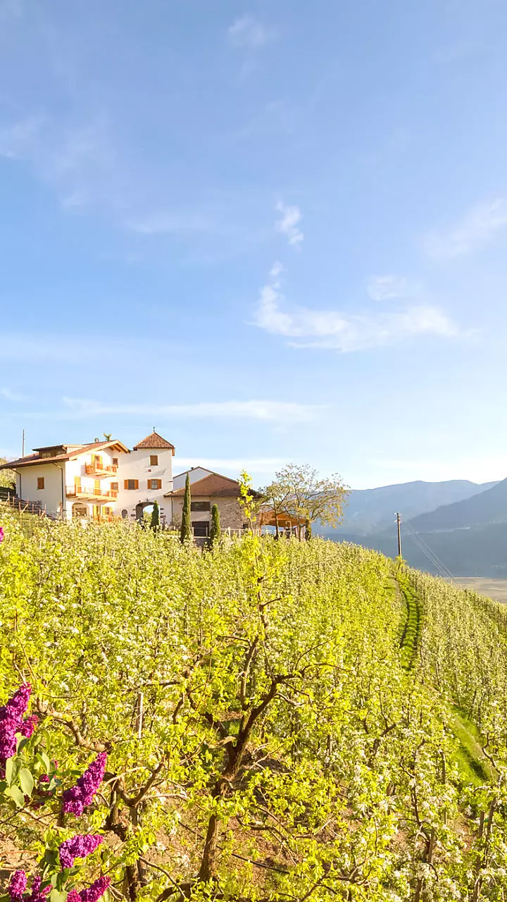 Spring holidays on the farm in South Tyrol