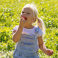 Satisfy your craving for berries in the snack garden