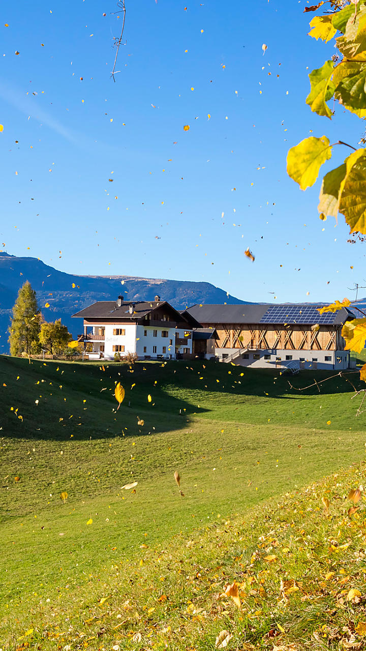Autumn holidays on the farm in South Tyrol