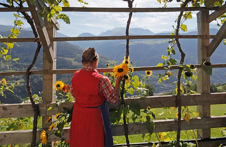 Spezialisierte Urlaubsbauernhöfe in Südtirol