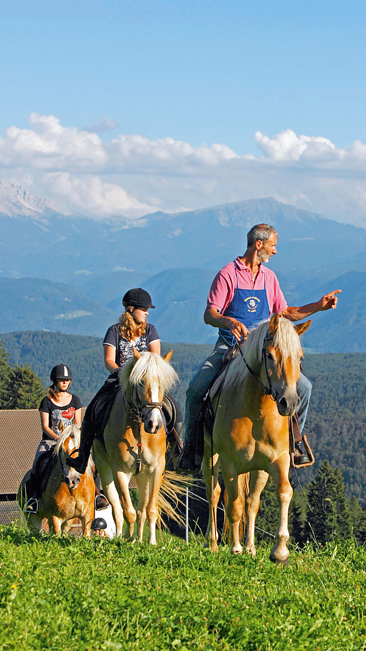 Holidays on a riding farm in South Tyrol