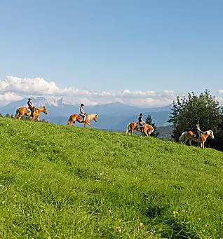 Reiturlaub in Südtirol: Pferdegeflüster am Hof