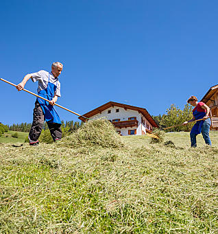 Heuernte am Bauernhof in Südtirol