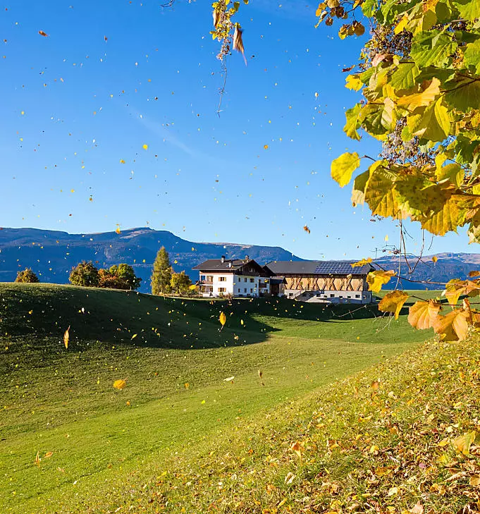 Herbsturlaub am Bauernhof in Südtirol