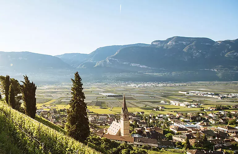 Farm Holidays in the South Tyrol Wine Road