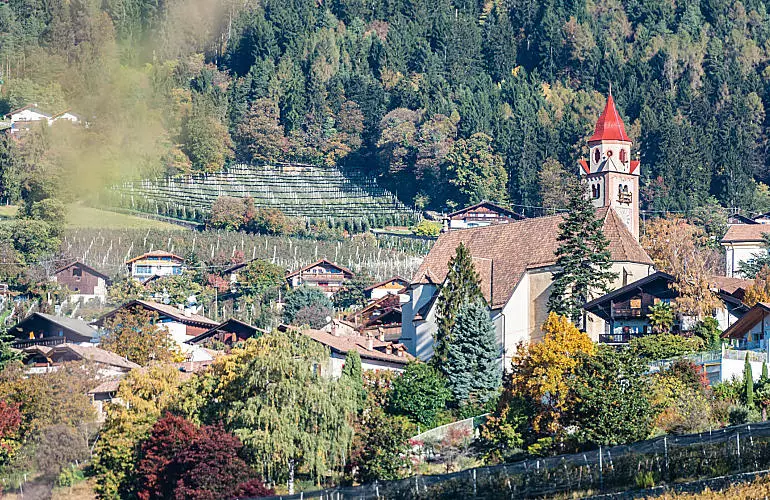 Farm Holidays in Dorf Tirol