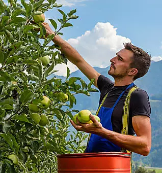 Experience everyday farming life in South Tyrol