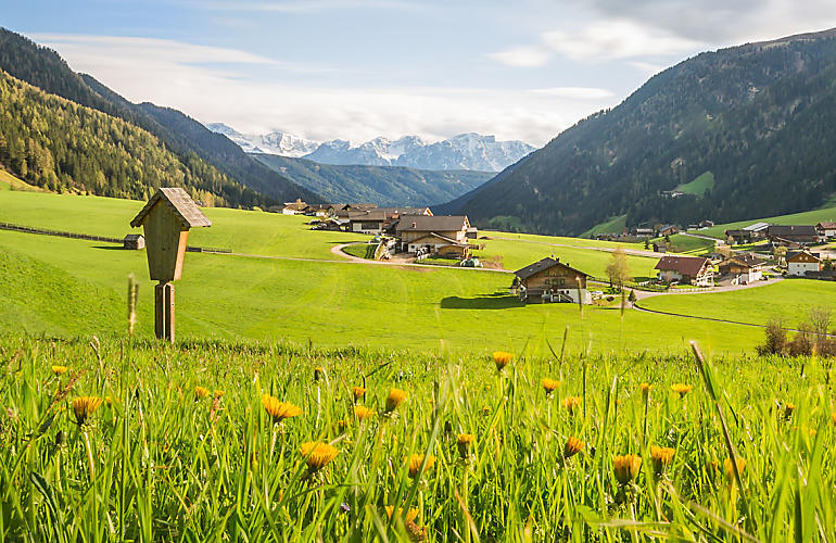 South Tyrol's side valleys: holidays with a view