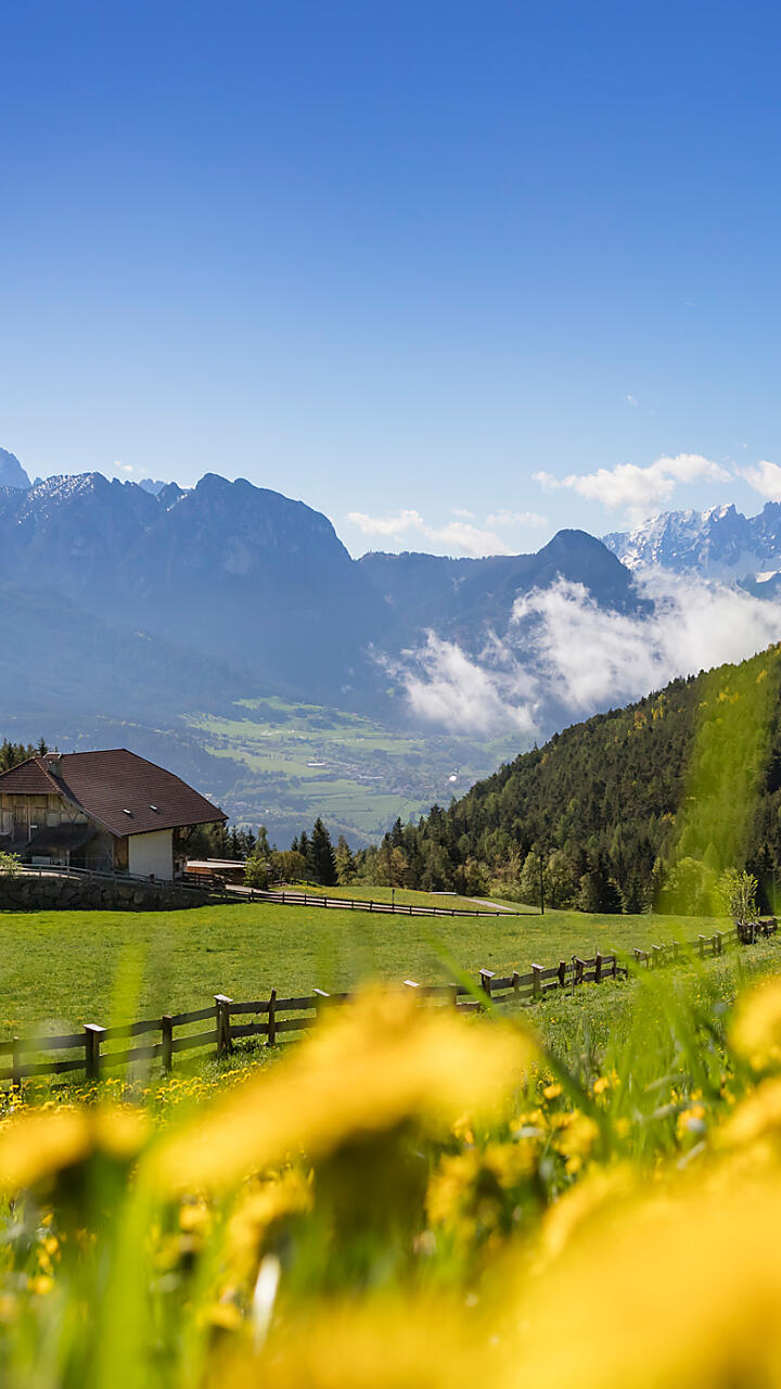 Farm Holidays in holiday flats in South Tyrol