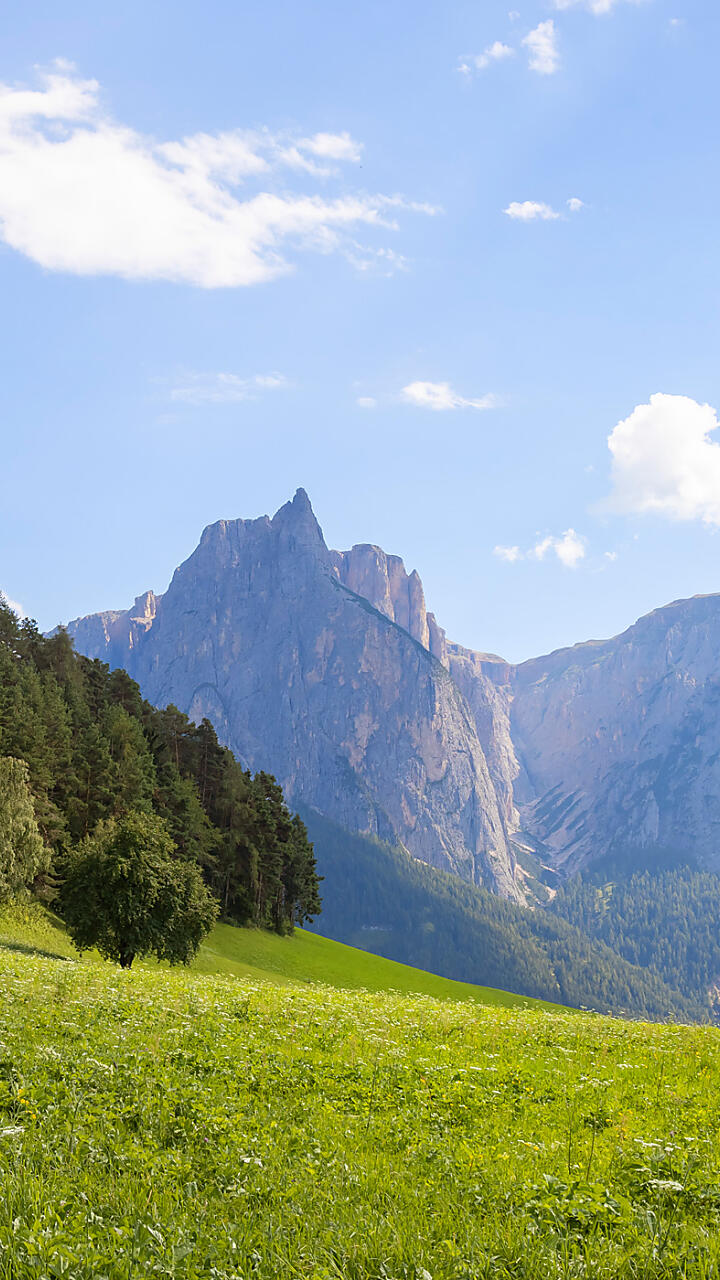 Farm Holidays in holiday flats in South Tyrol