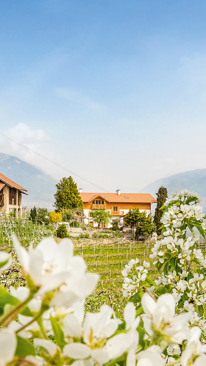 Farm Holidays in holiday flats in South Tyrol