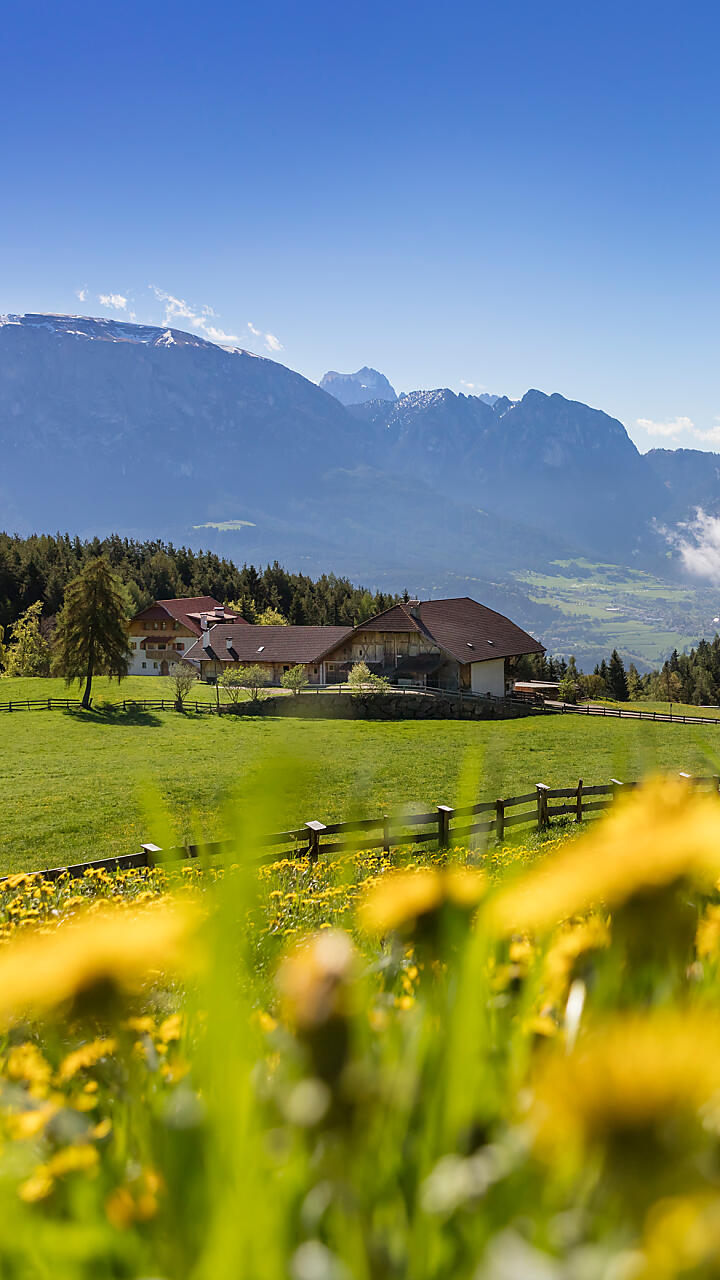 Farm Holidays in holiday flats in South Tyrol