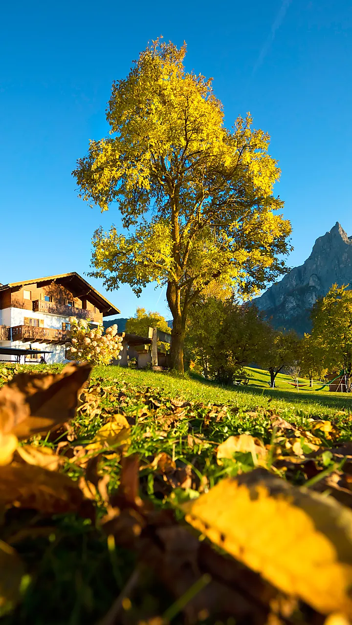 Farm Holidays in South Tyrol: 'Roter Hahn' presents over 1,600 holiday farms - holiday flat or room options for your holiday in South Tyrol.