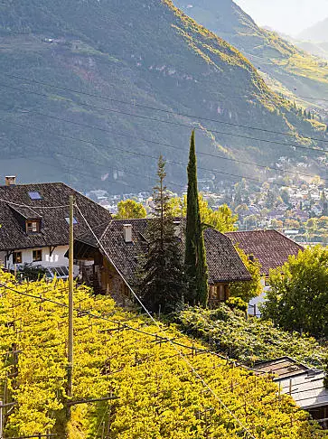 Die Kochschule am Bauernhof in Südtirol