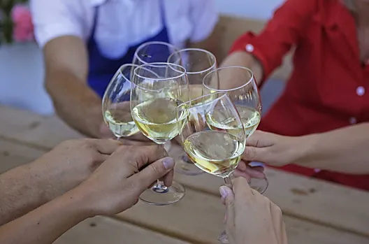 Der Griesserhof ist bekannt für seine hervorragenden Weißweine