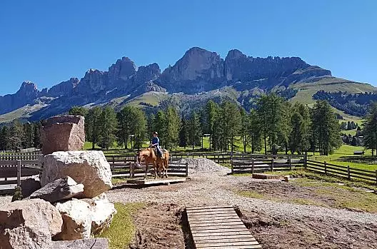 Horseback riding on the mountain trail