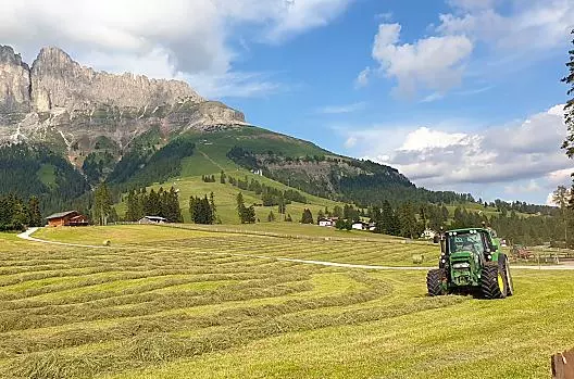 Hay harvest