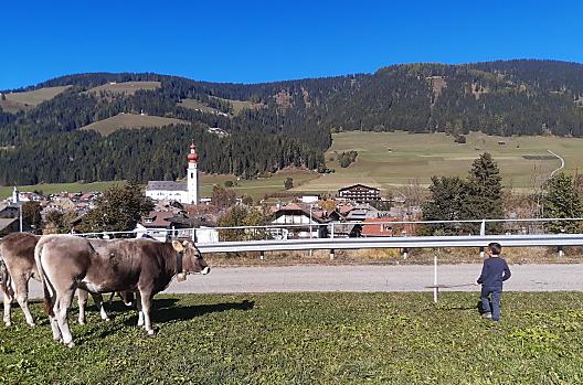Hoferhof - list Photo