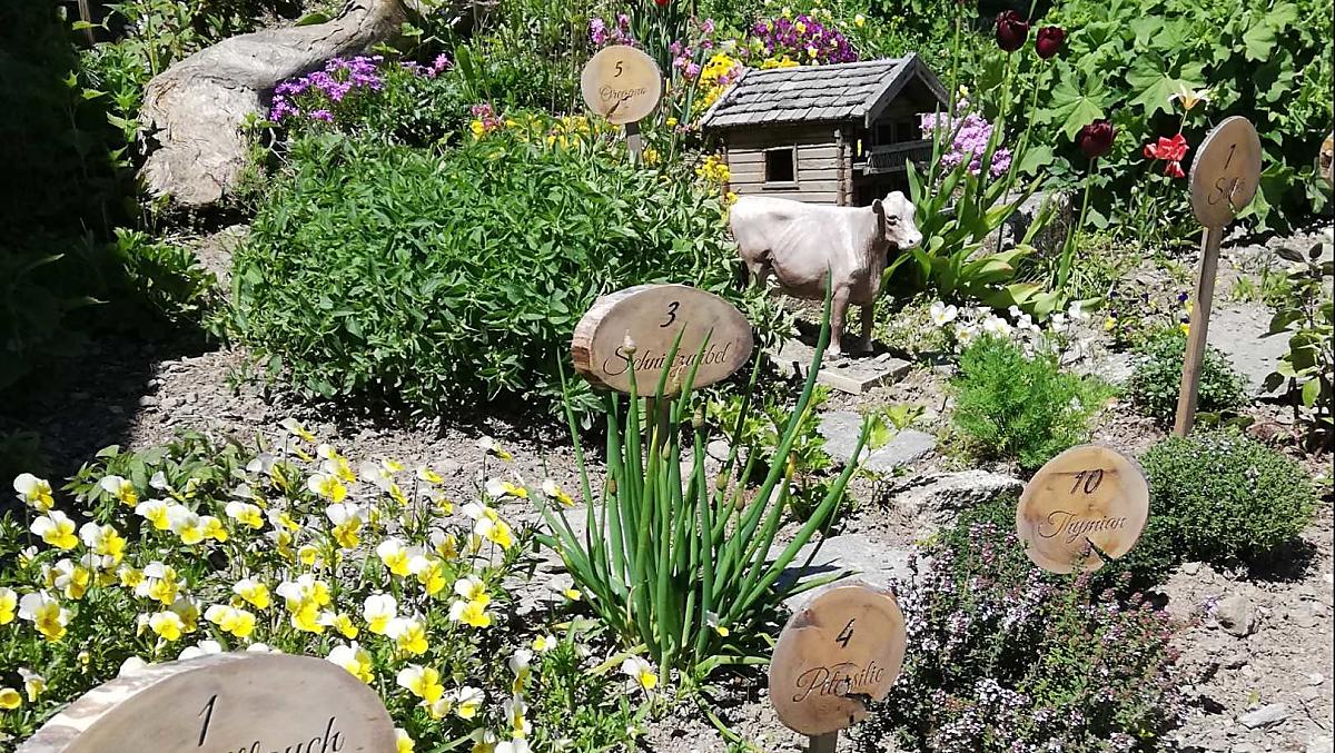 Herb garden