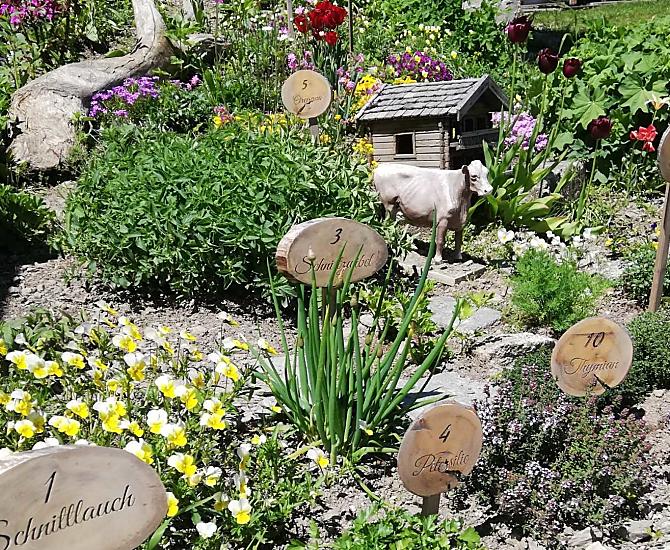 Herb garden