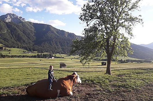 On the summer pasture