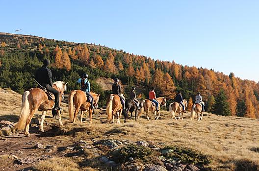 Oberfahrerhof - list Photo