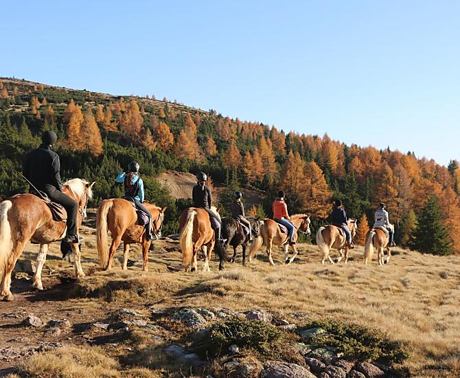 Oberfahrerhof - gallery Photo