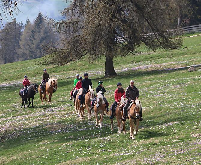 Oberfahrerhof - gallery Photo