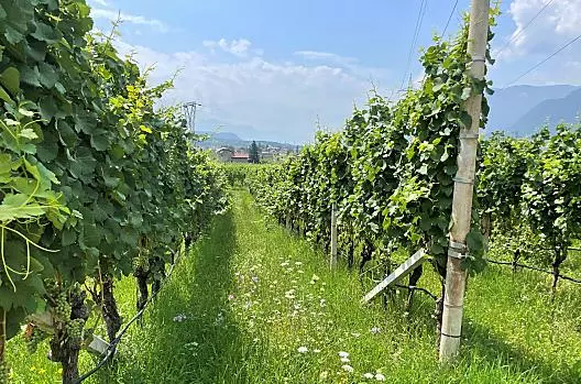 Bühel im Gschleier - list Photo
